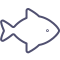 fish icon