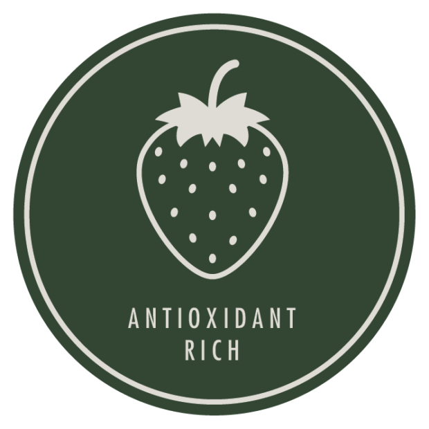 Antioxidant rich products icon / skin care