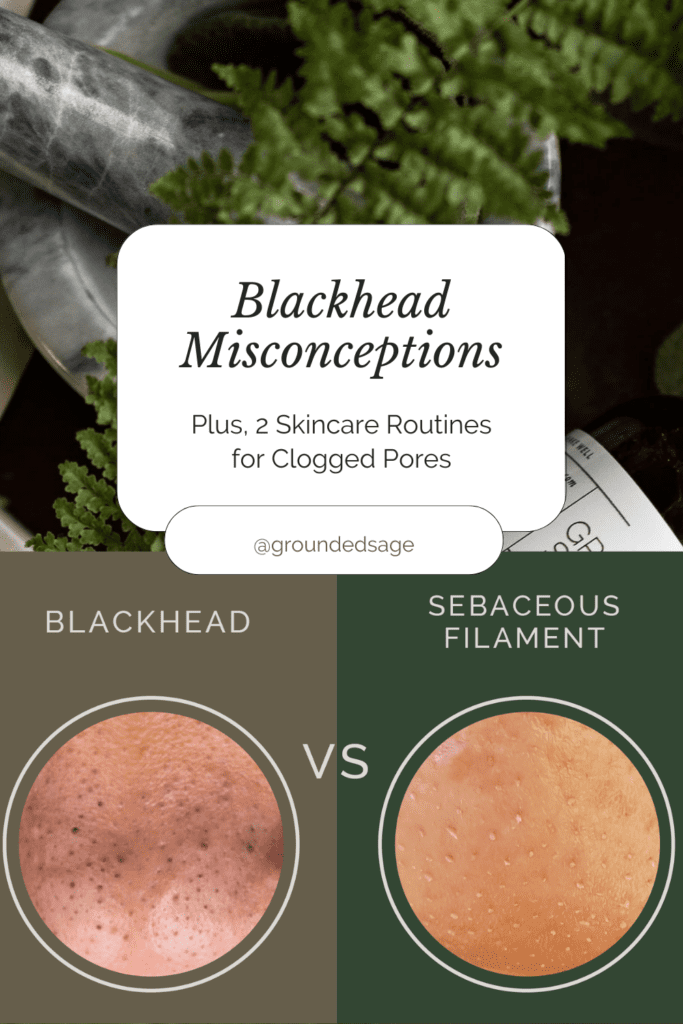 what's the difference between blackheads and sebaceous filaments picture comparison of blackheads vs sebaceous filaments. misconceptions about blackheads plus 2 skincare routines to get rid of them and clear skin of clogged pores and congestion