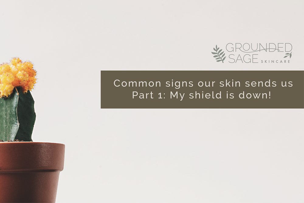 Common signs our skin sends us Part 1: My shield is down!