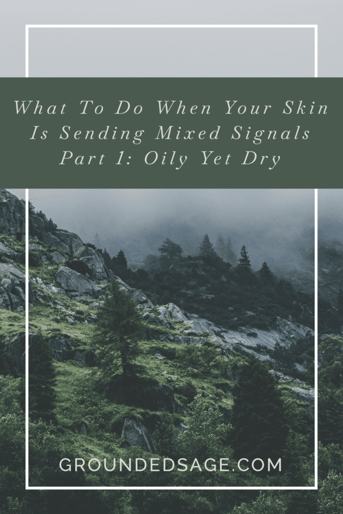 What to do when your skin is sending mixed signals part 1 - oily & dry skin / mindful skincare / green beauty / eco beauty