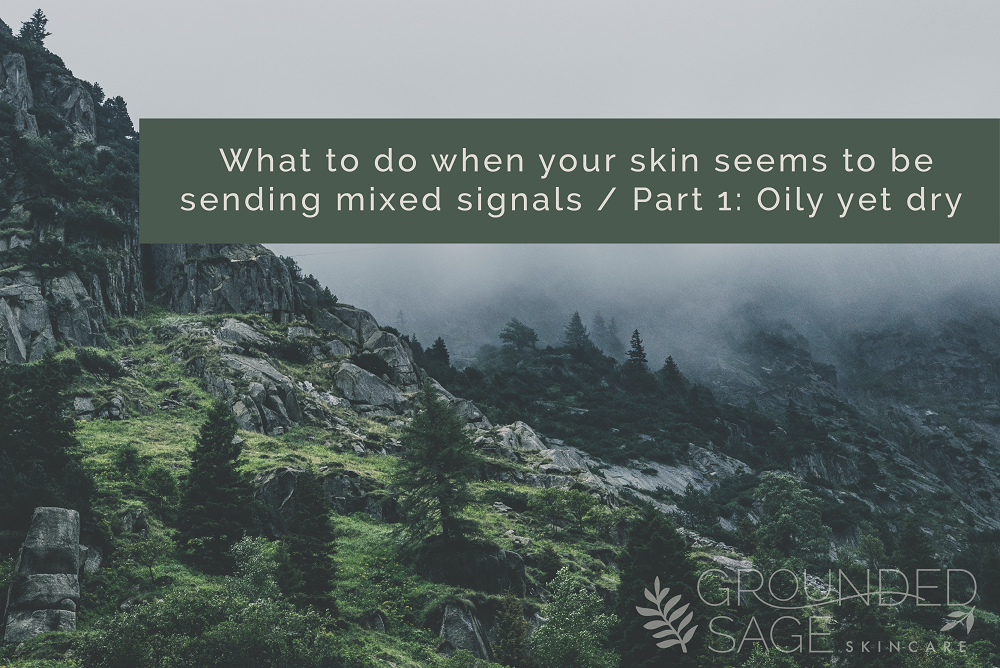 What to do when your skin seems to be sending mixed signals part 1: Oily yet dry