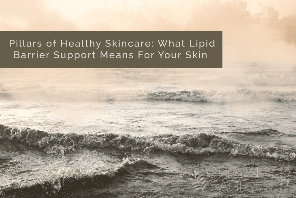 pillars of skincare / lipid barrier support / moiturizer / green beauty