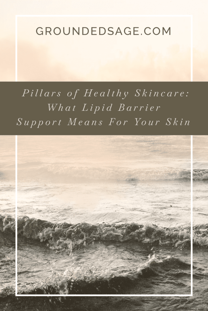 Healthy Skincare - Natural Skin Care Pillars  / lipid barrier support / moisturizer / green beauty
