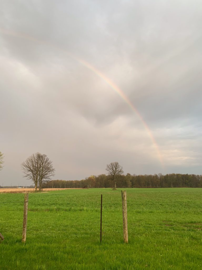 Rainbow in Cloudy Country Sky - Ontario Canada