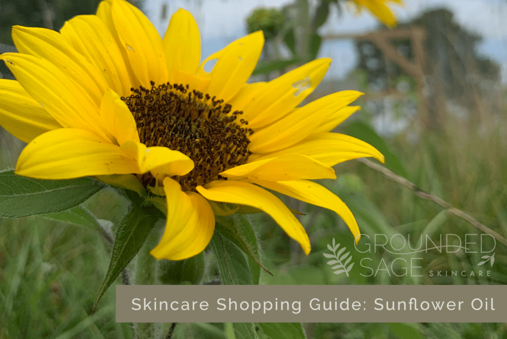 Sunflower oil in skincare / moisturizing / acne / safe oils for skin / green beauty