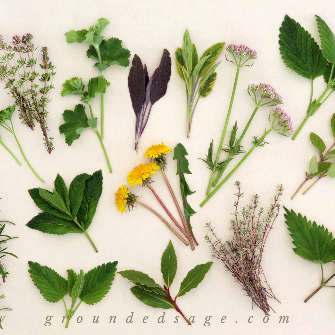 botanical beauty, garden remedies, and herbal wisdom for nature lovers, wise women, and the modern green witch - self care herbal tea natural aesthetic