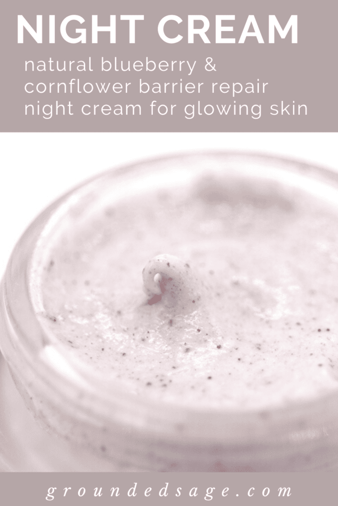 Antioxidant Night Cream - natural blueberry and cornflower barrier repair night cream for glowing skin - skincare products for face