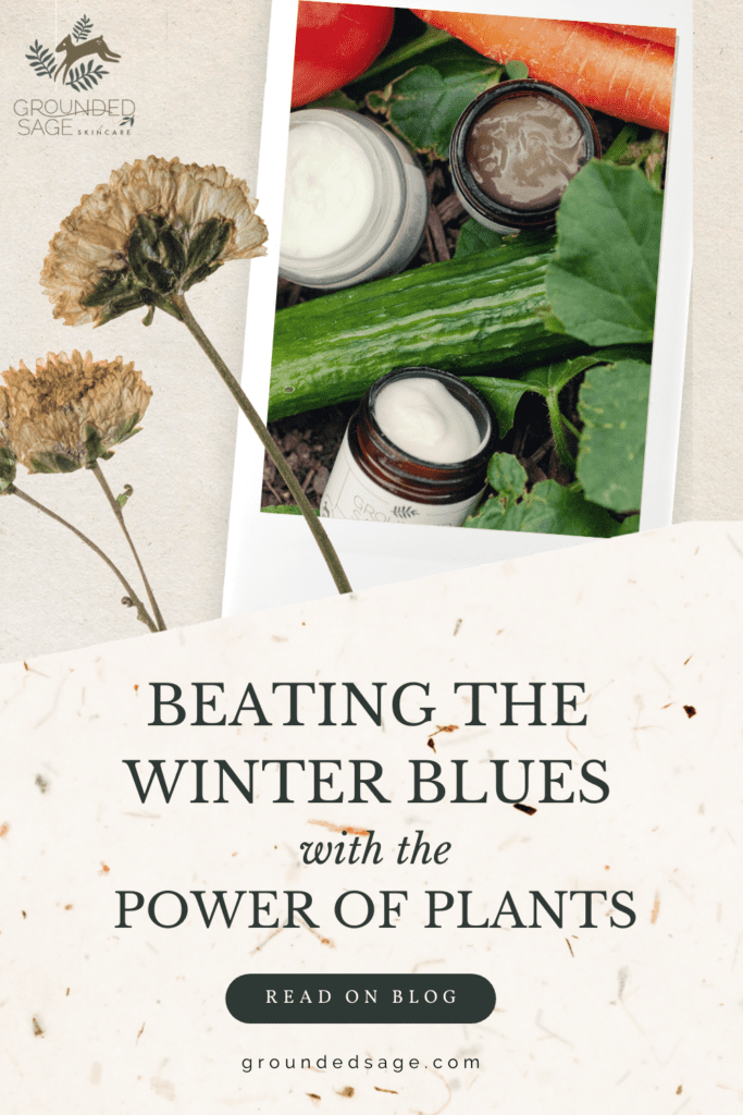 beating the winter blues - plant based remedies for mood boosting winter self care - healthy foods and plants for your body and skin