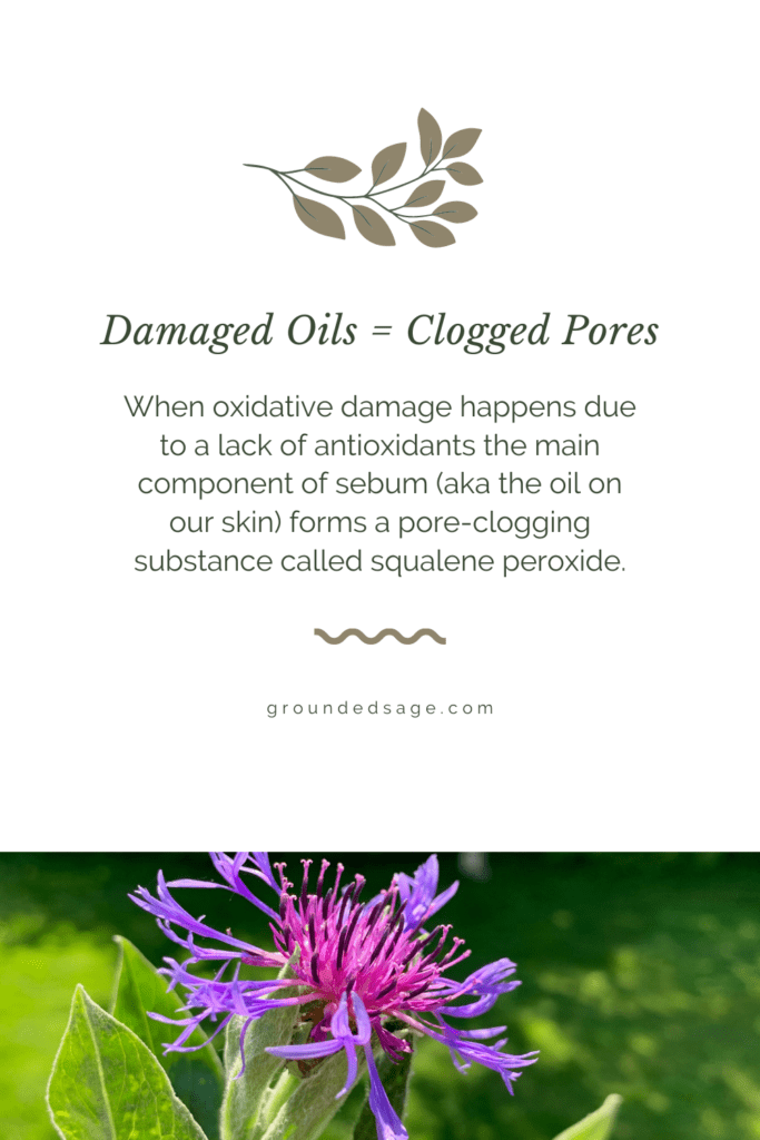 Damaged oils causes clogged pores. When oxidative damage happens due to a lack of antioxidants the main component of sebum (aka the oil on our skin) forms a pore-clogging substance called squalene peroxide.