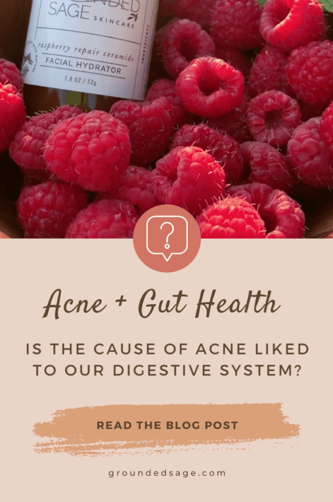 acne digestive system causes and the link to gut health