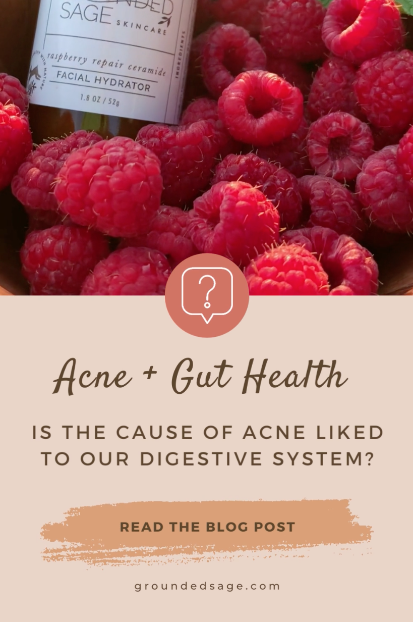 Does Poor Gut Health Cause Acne? - Grounded Sage