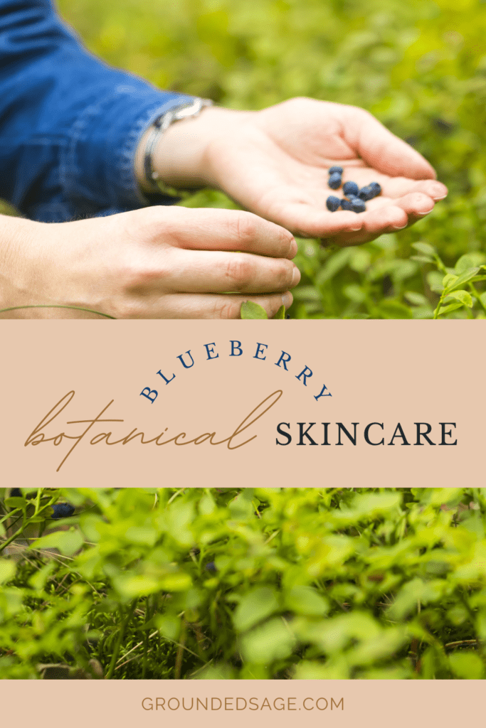 blueberry botanical beauty skincare. Inspired apothecary skincare - wild foraged - nature foraging - organic ingredients
