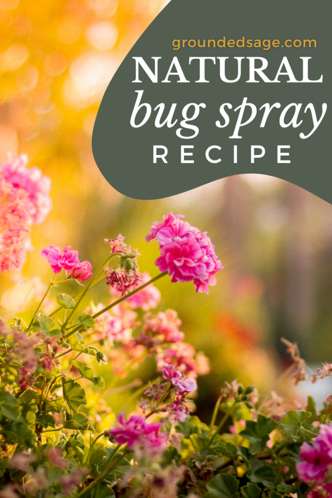 Essential oil bug spray recipe - DIY recipe for making a natural bug repellent 