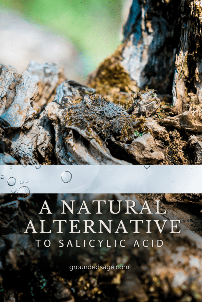 natural alternative to salicylic acid in skincare products for sensitive skin