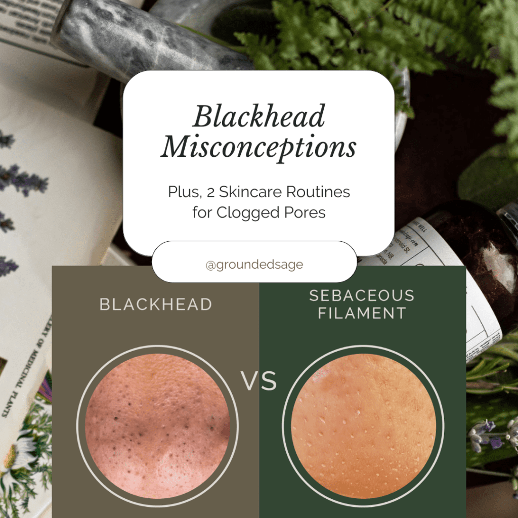 what's the difference between blackheads and sebaceous filaments picture comparison of blackheads vs sebaceous filaments