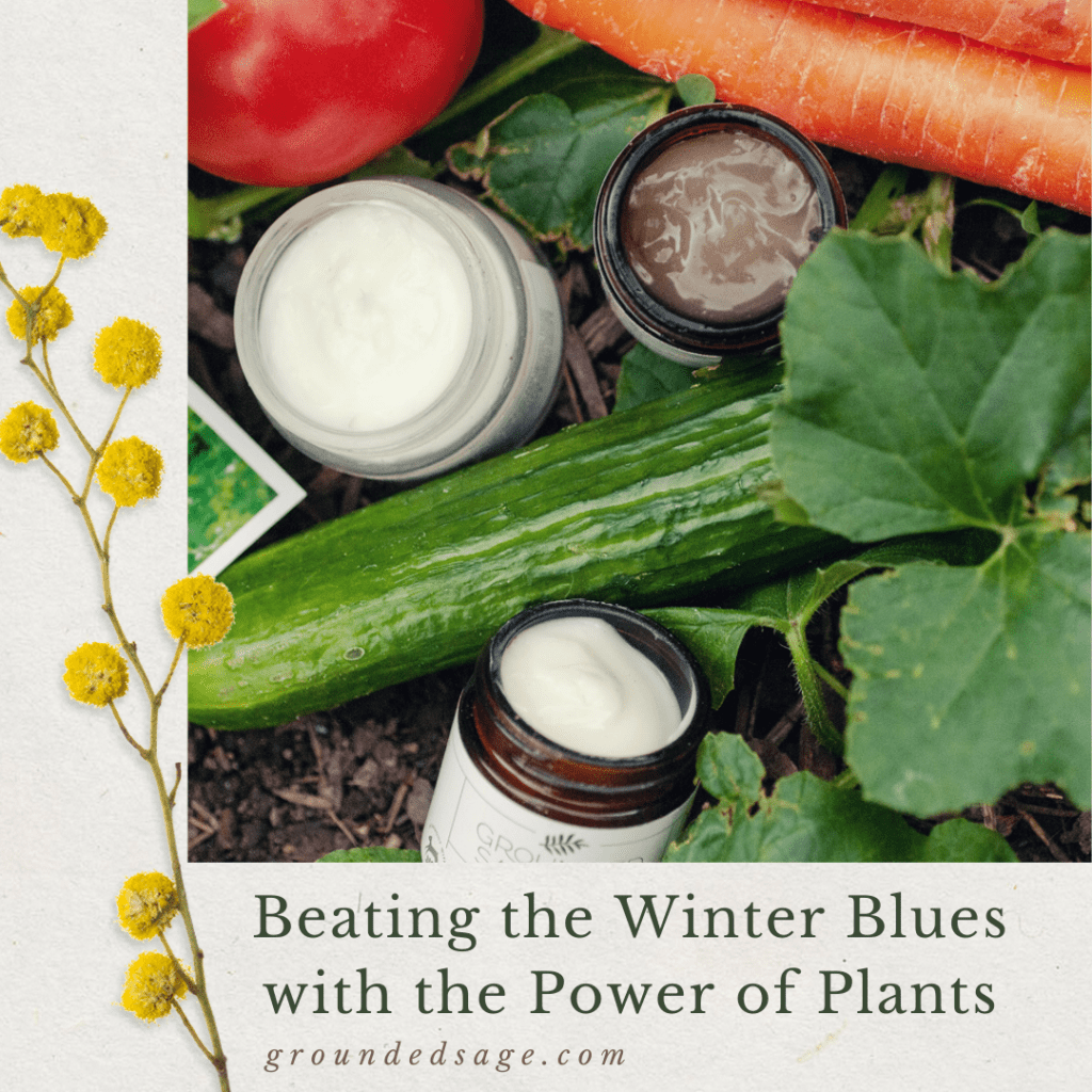 winter-self-care-with-plants